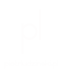 Fotografia Ślubna Częstochowa / Katowice / Kraków - Piotr Ludziński
